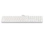 Apple Keyboard USB